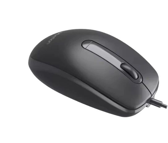 Mouse meetion  M100