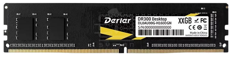 DERLAR DR300 24GB DDR5