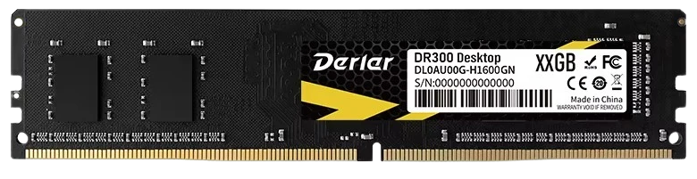 DERLAR DR300 24GB DDR5