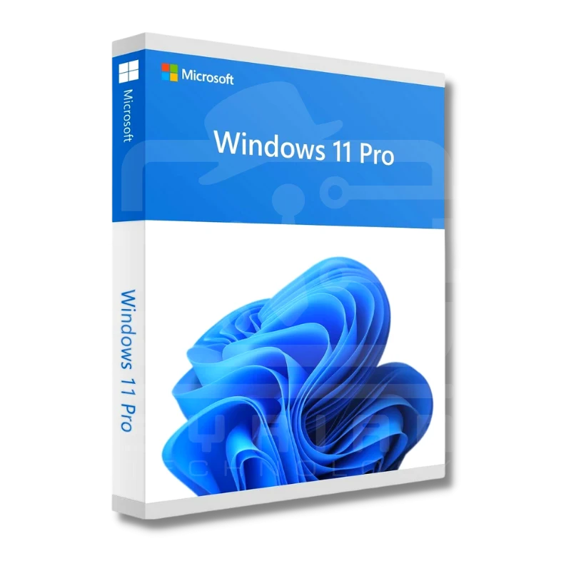 Windows 11 Pro OEM