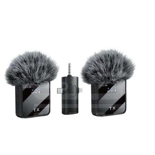 F11_2 Wireless microphone